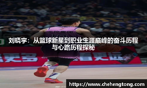 oety欧亿体育官网